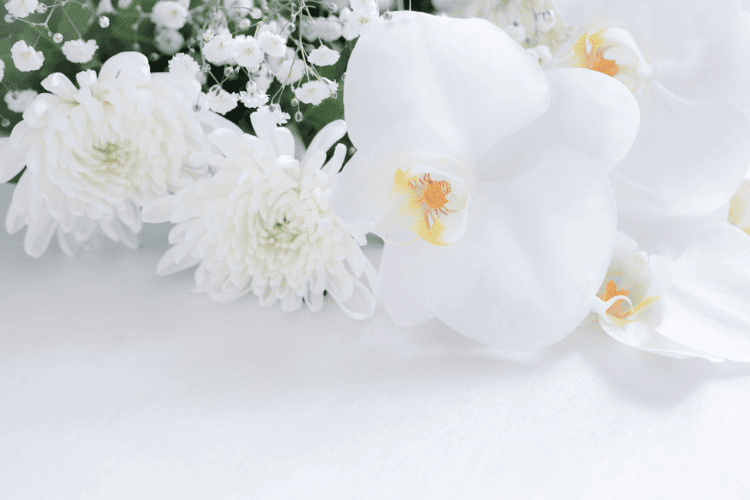 一日葬に関するご相談は『コープの家族葬』へ